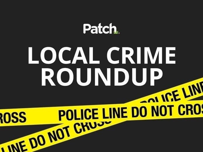Hudson Valley Crime Roundup: When Crime Bites Back